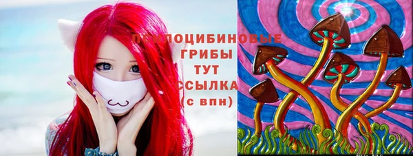 кокс Алексеевка