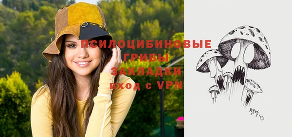 бутират Алзамай