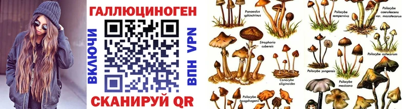Галлюциногенные грибы Psilocybe  продажа наркотиков  нарко площадка формула  Оханск 